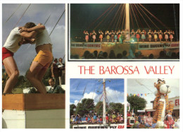(850) Australia - SA - Barossa Valley - Barossa Valley