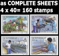 MONTSERRAT 1985 Agriculture Cotton COMPLETE IMPERF.SHEETS:4x40 (160 Stamps)  [non Dentelé, Geschnitten,no Dentado] - Montserrat