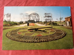 UK The Floral Clock . Southsea 1972 - Portsmouth