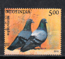 INDIA, 2010, FINE USED, Birds Of India,  Pigeons, , 1 V - Used Stamps