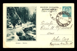 Illustrated Stationery - Image Jahorina / Stationery Circulated, 2 Scans (41-846) - Other & Unclassified