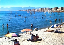 (-) # Canet Saint Nazaire En Roussillon  - La  Plage , Au Loin Les Albères - Canet En Roussillon