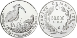 AC - NORTHERN BALD IBIS PROTEDTED NATURE SERIES COMMEMORATIVE SILVER COIN TURKEY 1995 UNC PROOF - Türkei