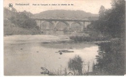 Herbeumont Pont De Conques Et Viaduc Du Chemin De Fer - Herbeumont