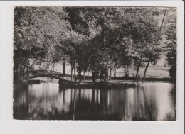 CPSM GF - Colonie De Vacances De L'Oeuvre Des Pupilles De L'Ecole Publique De La Moselle à ESTIVAL - L'Etang Avec L'Ile - Etival Clairefontaine