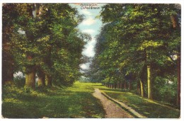 Nottingham, Clifton Groove - W H S & S Albert Series - Postmark 1905 - Nottingham