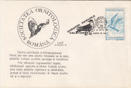 39030- WHISKERED TERN, BIRDS, SPECIAL COVER, 1993, ROMANIA - Marine Web-footed Birds