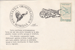 39035- COMMON TERN, BIRDS, SPECIAL COVER, 1993, ROMANIA - Marine Web-footed Birds