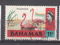 Bahamas 1971 Mi Nr 325 X Rode Flamingo - 1963-1973 Autonomie Interne