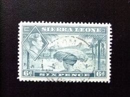 SIERRA LEONE 1938 Yvert Nº 165 º FU - GEORGE VI RECOGIDA DEL ARROZ - Sierra Leone (...-1960)