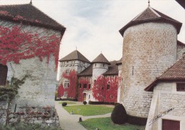 THORENS-GLIERES : Le Château : Donjon Circulaire Du XIII° Siècle - Thorens-Glières