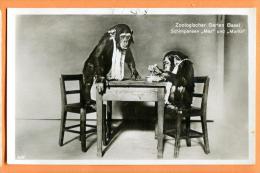 FAD-14 Singes Chimpanzés MAX Et MORITZ Du Zoo De Bâle, Schimpanzen Zoo Basel.  Gelaufen In 1931 - Singes