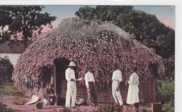 SIRINAM. Native Hut, St Lucia - Suriname