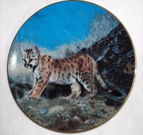 Baby COUGAR CAT "Ready For Adventure" Collectible Plate Hamilton Collector P31 - Autres & Non Classés