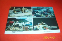 M 344 ° CANADA   AVEC PHILATELIE  °° SCENES OF NEWFOUDLAND  LE 25 07 1988 - Modern Cards