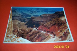 M 346 ° CANADA   AVEC PHILATELIE  ° GRAND CANYON NATIONAL PARK LE 5 11 2001 - Cartes Modernes