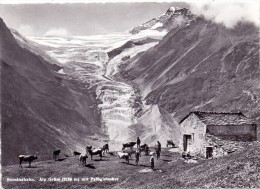 CH 7710 POSCHIAVO, Alp Grüm - Poschiavo