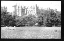 Arundel Castle   - Han126 - Arundel