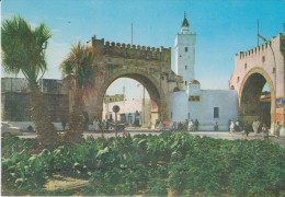 AFRIQUE,AFRICA,AFRIKA,MAGHREB,TUNISIE,TUNISIA,TUNIS,EL KHADRA - 5 - 99 Postales