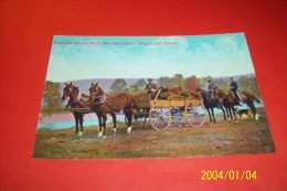 M 348 ° CANADA   AVEC PHILATELIE  ° 1895 1995  100 YEARS N W M P R C M P - Cartoline Moderne