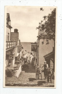 G-I-E , Cp, Angleterre , CLOVELLY  , ANIMAUX , ÂNE , High Street Down , Ed : Valentine Sepiatype , Vierge - Clovelly