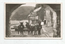 G-I-E , Cp, Angleterre , CLOVELLY  , ANIMAUX , ÂNE , The DONKEYS  , Ed : R.A. , Vierge , Real Photo - Clovelly