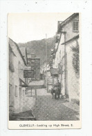 G-I-E , Cp ,  Angleterre , CLOVELLY  , ANIMAUX , ÂNE , Looking Up High Street , 2 , Ed : Burrow   , Vierge - Clovelly