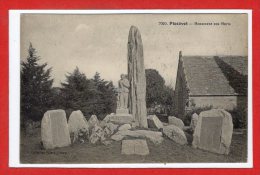 29 - PLOZEVET --  Monument Aus Morts - Plozevet