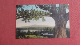 New Hampshire=== Old Oak Contoocook Lake Monadnock Mountain== Ref 28 - White Mountains