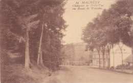 Malmedy - Chaussée De Belle-Vue Ou Route De Waisme (photo Belge Lumière) - Malmedy