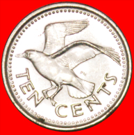 § BIRD: BARBADOS ★ 10 CENTS 2008! MINT LUSTER! LOW START ★ NO RESERVE! - Barbados