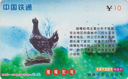 Télécarte De Chine - ANIMAL - OISEAU - TETRAS COQ De Bruyère - GROUSE BIRD China Phonecard  - VOGEL - 4222 - Gallinacés & Faisans