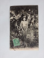Carte Postale Ancienne : LAOS : Jeune Fille Du Bas-Laos , Seins Nus, Dans Une Foret De Bananiers, Timbre 1908 - Laos