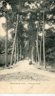 CPA 95  BEAUCHAMPS ALLEE DES SAPINS 1906 - Beauchamp