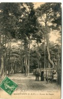 CPA 95  BEAUCHAMPS ALLEE DES SAPINS 1913 - Beauchamp