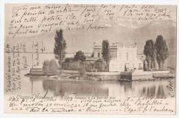 Suisse - Clarens Montreux Maison Du Peintre Sur L'ile De Salagon Et La Dent Du Midi 1903 Cachet Clarens - Montreux