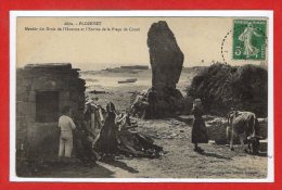 29 - PLOZEVET --  Menhir Dudroit De L'Homme - Plozevet
