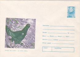 CUCKOOS, 1975,  COVER STATIONERY, UNUSED, ROMANIA - Cuckoos & Turacos