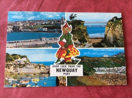 UK .  Good Luck From The Newquay Pisky 1972 - Newquay
