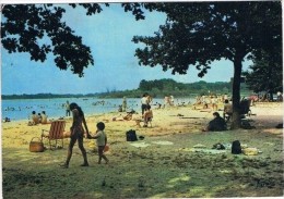 ARGENT Sur SAULDRE . 18 . Plage Du Lac  Du Puits . Animée .1981. - Argent-sur-Sauldre