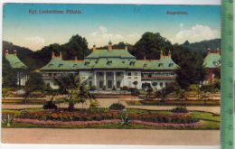 Kgl. Lustschloss Pillnitz, Bergschloss, 1914, Verlag: --------. FELD- Postkarte, Mit Frankatur, Stempel, DRESDEN - Pillnitz