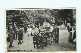 R - 76 - LE HAVRE - Le Quare Saint Roch - Calèche - Enfants - Square Saint-Roch