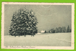 Kurhaus Kniebis-Lamm - Ski Gelânde Beim Kurhaus Lamm Besitzer Carl Gaisser - Hochschwarzwald