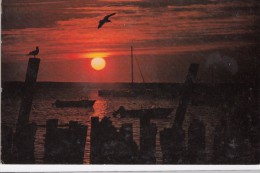 SUNSET, CAPE COD, MASS, Unused Postcard [16951] - Cape Cod
