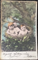 Carte Postale Bimbi Nel Nido, Viaggiata 1905 - Birth