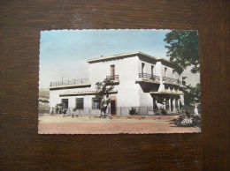Algérie: Carte Postale Ancienne De Tebessa- Postes Et Télégraphes - Tebessa