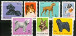 HUNGARY - 1967.Hungarian Dogs Cpl.Set MNH! - Unused Stamps