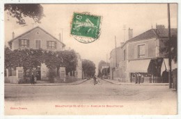95 - BEAUCHAMPS (BEAUCHAMP) - Avenue De Beauchamps - Trianon - 1916 - Beauchamp