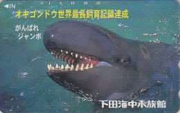 Télécarte Japon - ANIMAL - BALEINE / FAUSSE ORQUE EPAULARD - WHALE Japan Phonecard - WAL Telefonkarte - BALLENA - 334 - Delphine