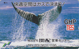 Télécarte Japon - ANIMAL - BALEINE / GHP - WHALE Japan Phonecard - WAL Telefonkarte - BALLENA / Queue - 352 - Delfini